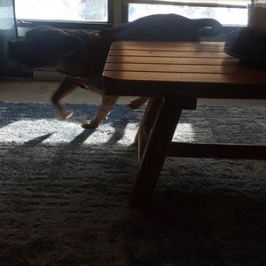 Meet your Posher, Makenna